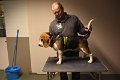 Afb_20190127_skye (5)